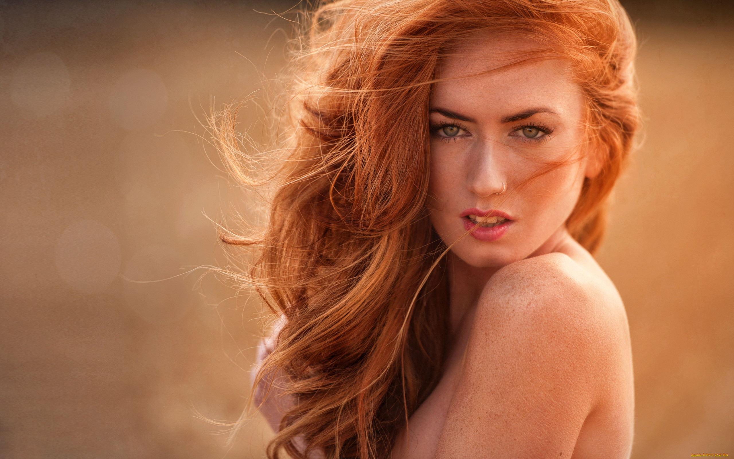 jenny o`sullivan, , jenny, osullivan, , , , , , , , , 